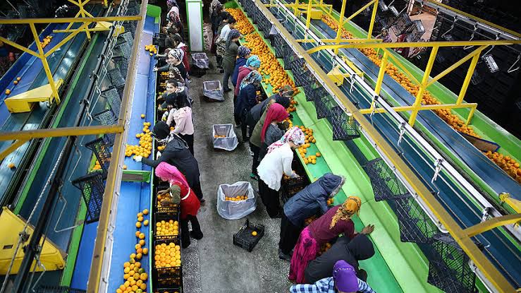 İş Ortamından Kareler